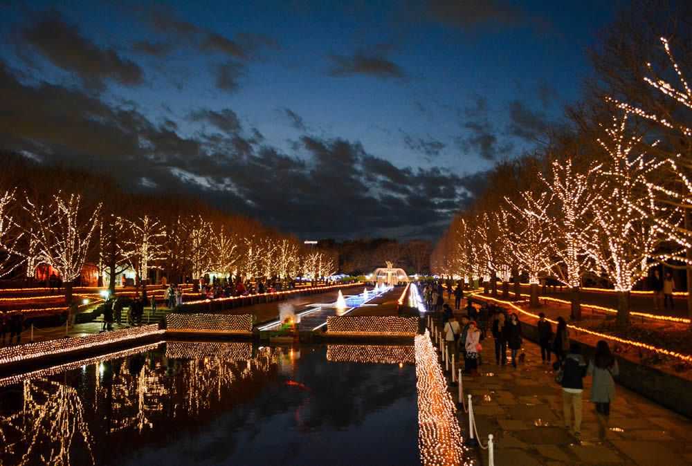 Showa Kinen Park Winter Illumination