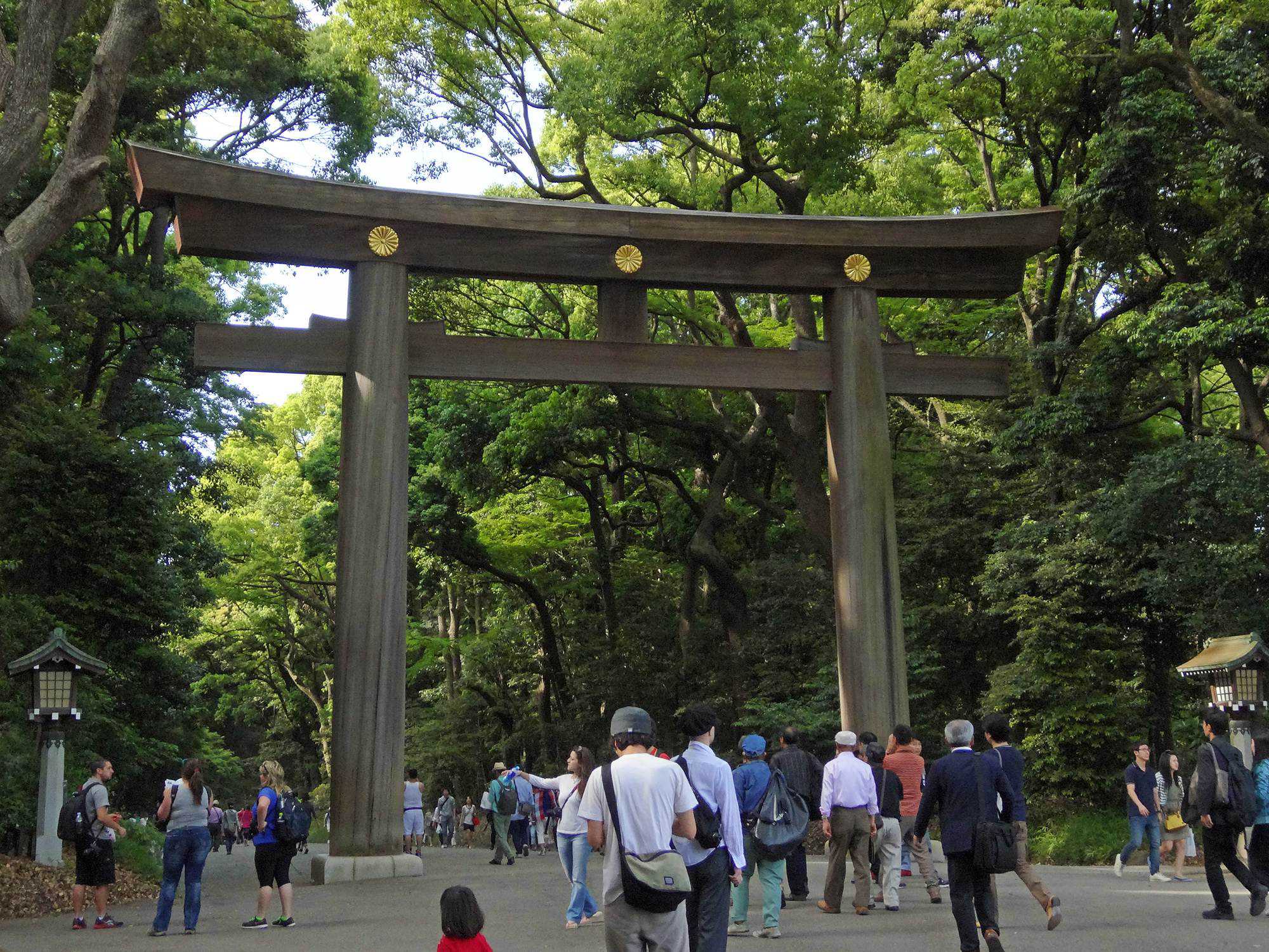 Meiji Shrine torii
