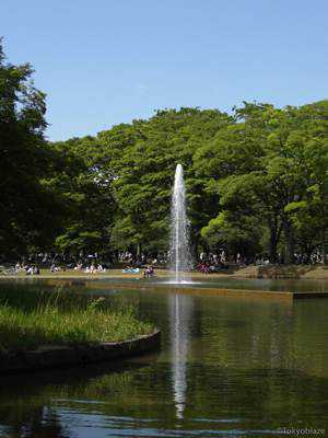 yoyogi park