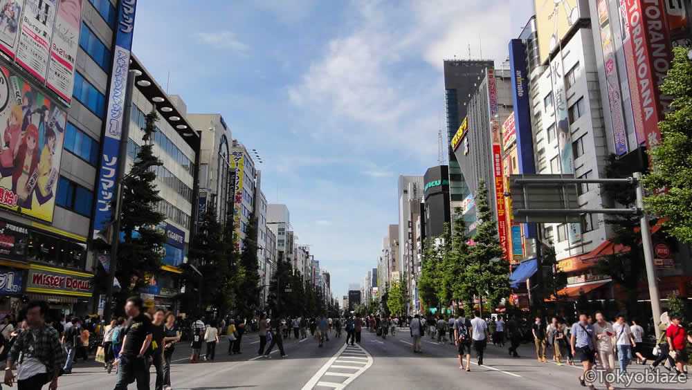 Akihabara's Chuo Dori(Main Street) during Hokosha Tengoku