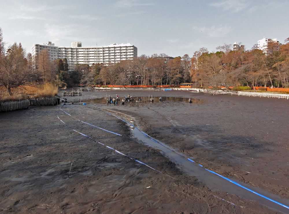 Drained Inokashira Lake